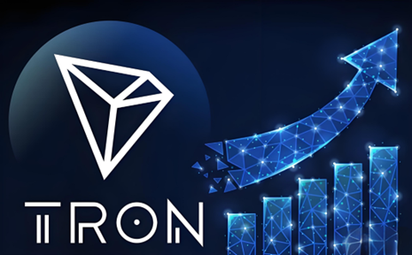 Privy进一步支持波场TRON，孙宇晨正在补上开发者生态的关键一环